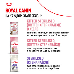 Royal Canin (Роял Канин) Kitten корм влажный  для котят в возрасте до 12 месяцев в соусе 85 г