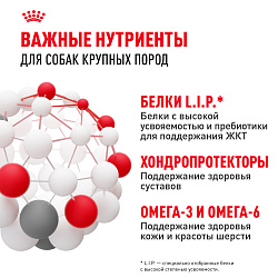 Royal Canin (Роял Канин) Maxi Adult Корм сухой для взрослых собак крупных размеров 3 кг