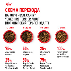Royal Canin (Роял Канин) Корм сухой для взрослых собак породы Йоркширский Терьер от 10 месяцев, 3 кг