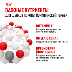 Royal Canin (Роял Канин) Корм сухой для щенков породы Йоркширский терьер паппи 1,5 кг
