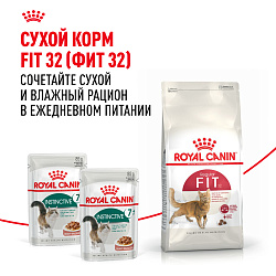 Royal Canin (Роял Канин) Инстинктив +7 корм влажный для стареющих кошек от 7 лет в соусе 85 г 
