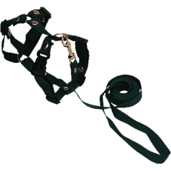 Комплект стропа д/кошек (шлейка+поводок) 20 мм*5 арт. 1311 Зооник