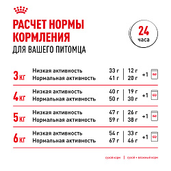 Royal Canin (Роял Канин) Hair & Skin кэа Корм сухой для кошек для здоровья кожи и шерсти 400 г