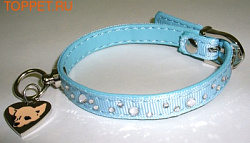Ошейник "Ch.Crested" голубой  1.0*26см