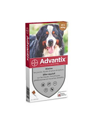 Адвантикс 600 мг для собак от 40 до 60 кг 1 пипетка