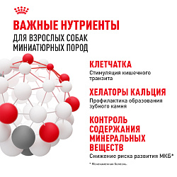 Royal Canin (Роял Канин) Икс-смол Эдалт Корм сухой для взрослых собак очень мелких размеров 3 кг