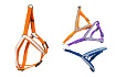 Шлейка светоотражающая "Ecco-Sport Reflex" 25мм ОШ 60-80 см, ОГ 65-90 см, оранжевая 031131оранж