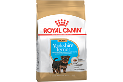 Royal Canin (Роял Канин) сухой корм для щенков породы йоркширский терьер 1,5 кг