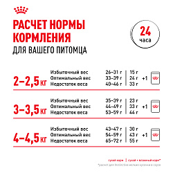 Royal Canin (Роял Канин) Fit 32 (Фит 32) Корм сухой для взрослых умеренно активных кошек 400 г 