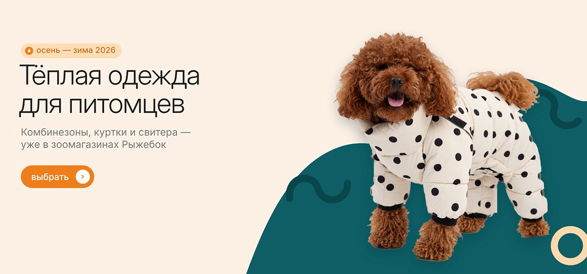 Новое поступление