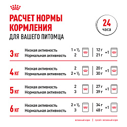 Royal Canin (Роял Канин) корм влажный для взрослых кошек породы Мэйн Кун в соусе 85 г 