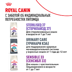 Royal Canin (Роял Канин) Fit 32 (Фит 32) Корм сухой для взрослых умеренно активных кошек 400 г 