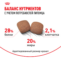 Royal Canin (Роял Канин) Джайнт Корм сухой для взрослых собак очень крупных размеров от 18 мес 15 кг