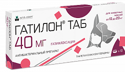 Гатилон 40 мг, 10 таблеток, Нита-Фарм