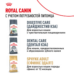 Royal Canin (Роял Канин) Киттен корм сухой для котят породы Сфинкс 400 г