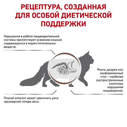 Royal Canin (Роял Канин) Gastrointestinal Корм сухой диетический для взрослых кошек при расстройствах пищеварения 0,4 кг