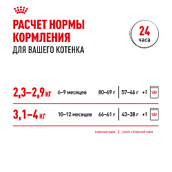 Royal Canin (Роял Канин) Kitten (Киттен) корм сухой для стерилизованных котят 400 г