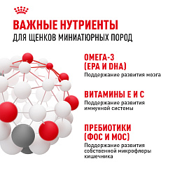 Royal Canin (Роял Канин) Икс-смол Паппи Корм сухой для щенков очень мелких размеров 3 кг