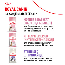 Royal Canin (Роял Канин) Kitten (Киттен) сухой корм для котят период второй фазы роста, 2 кг