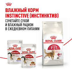 Royal Canin (Роял Канин) Fit 32 (Фит 32) Корм сухой для взрослых умеренно активных кошек 400 г 