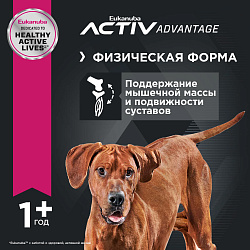 Eukanuba Эдалт Ладж Брид 1+ сухой корм для взрослых собак крупных пород с курицей  3кг