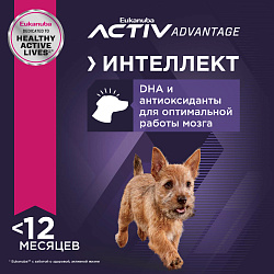 Eukanuba Паппи Смол Брид д/щенков мелких пород 800 г
