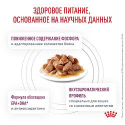 Royal Canin (Роял Канин) Ренал Фелин Корм влажный для кошек для поддержания функции почек говяд 85 г