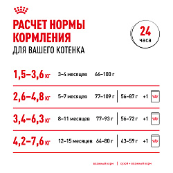 Royal Canin (Роял Канин) Киттен корм влажный для котят породы Мэйн кун в соусе 85 г