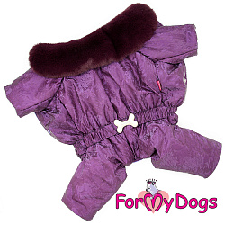 FOR MY DOG Комбинезон фиолетовый для девочек (10) FW1004-2021 F