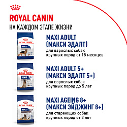 Royal Canin (Роял Канин) Макси Паппи Корм сухой для щенков крупных размеров до 15 месяцев 3 кг