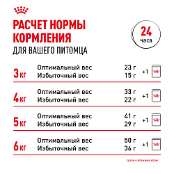 Royal Canin (Роял Канин) Bengal Корм сухой для взрослых кошек породы Бенгал от 12 месяцев 2 кг