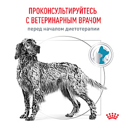 Royal Canin (Роял Канин) Гипоаллердженик Корм сухой для взрослых собак, при пищевой аллергии 2 кг