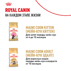 Royal Canin (Роял Канин) Киттен корм влажный для котят породы Мэйн кун в соусе 85 г