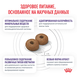 Royal Canin (Роял Канин) Ньютрид Корм сухой для взрослых кастрированных собак мелких пород 3,5 кг