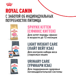 Royal Canin (Роял Канин) Sphynx Корм сухой для взрослых кошек породы Сфинкс от 12 месяцев 2 кг