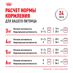 Royal Canin (Роял Канин) Индор 7+ корм влажный для стареющих кошек в желе 85 г