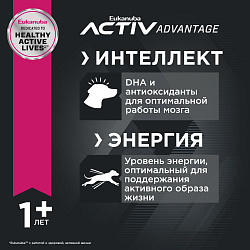 Eukanuba Эдалт Ладж Брид 1+ сухой корм для взрослых собак крупных пород с курицей  3кг