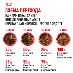 Royal Canin (Роял Канин) British Shorthair Adult Корм сухой для британских кошек, 2 кг