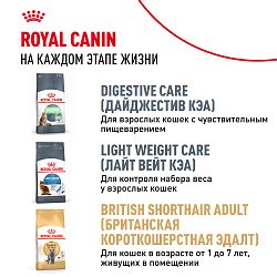 Royal Canin (Роял Канин) Киттен корм сухой для котят британская короткошерстная 400 г