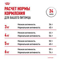 Royal Canin (Роял Канин) Hairball Care Корм сухой для кошек для выведения волосяных комочков 400 г