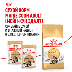 Royal Canin (Роял Канин) корм влажный для взролых кошек породы Мэйн Кун в соусе 85 г 