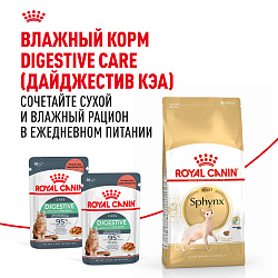 Royal Canin (Роял Канин) Sphynx Корм сухой для взрослых кошек породы Сфинкс от 12 месяцев 2 кг