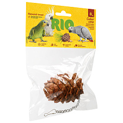 RIO Шишка кедровая 