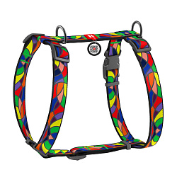 Шлея WAUDOG Nylon с QR-паспортом "Витраж", пл. фастекс, S, Ш 15 мм, A 30-40, B 30-50 5617
