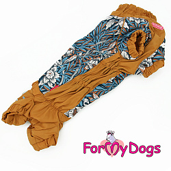 FOR MY DOG Комбинезон терракот/голубой для мальчиков (ТС2) FW866-2020 М