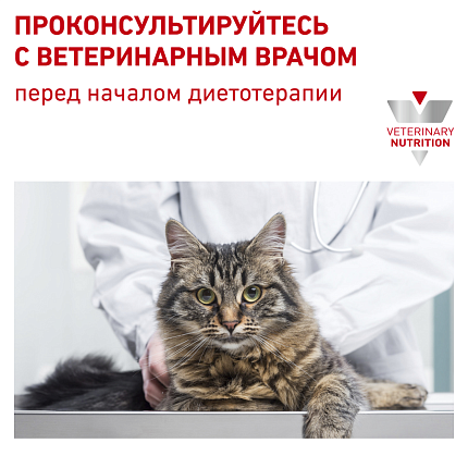 Royal Canin (Роял Канин) Urinary S/O LP 34 Feline Корм сухой диетический для взрослых кошек при мочекаменной болезни 3,5 кг