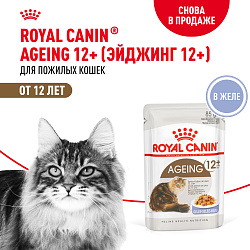 Royal Canin (Роял Канин) Эйджинг 12+ корм влажный для стареющих кошек от 12 лет в желе 85 г