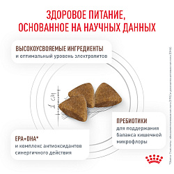Royal Canin (Роял Канин) Gastrointestinal (Гастроинтестинал) Корм сухой для взрослых кошек 2 кг