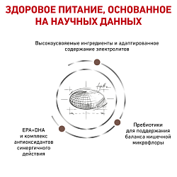Royal Canin (Роял Канин) Гастро интестинал Модерат Калор Фелин 2 кг