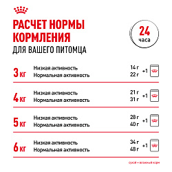 Royal Canin (Роял Канин) Индор корм влажный для домашних кошек в желе 85 г